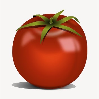 Tomato clipart, vegetable illustration vector. | Free Vector - rawpixel