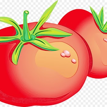 Tomato, Food, Diet Food, Fruit PNG