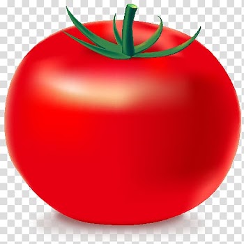 Tomato Jambalaya Computer Icons Vegetable, Vegetable Free Icon transparent background PNG clipart