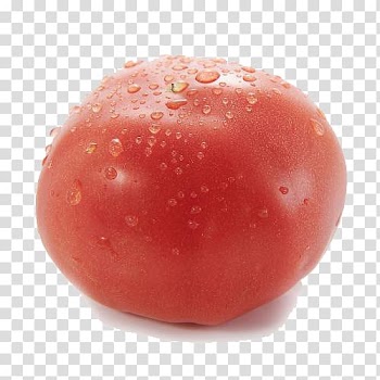 Tomato juice Cherry tomato Vegetable Tomato sauce, Fresh tomatoes transparent background PNG clipart