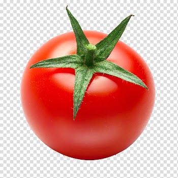Tomato juice Pasta Italian cuisine, Tomatoes vegetables transparent background PNG clipart