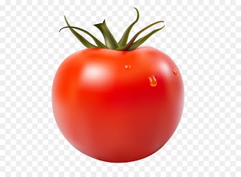 Tomato juice Tomato soup Ketchup Vector graphics - tomato 