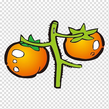 Tomato juice Vegetable, tomato transparent background PNG clipart