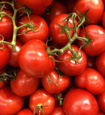 Tomato Lot
