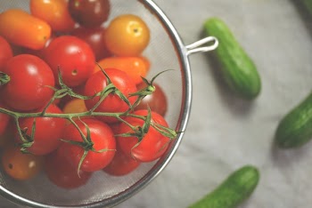 Tomato Lot on Tray