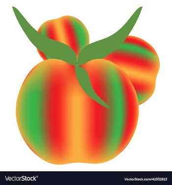 tomato on white background tomatoes top view