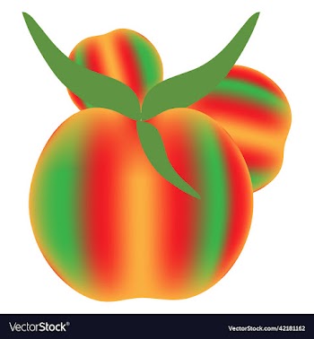 tomato on white background tomatoes top view sid