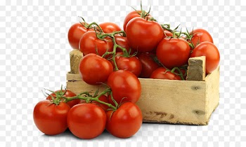 Tomato Organic food Cultivar Fertilisers - tomato 