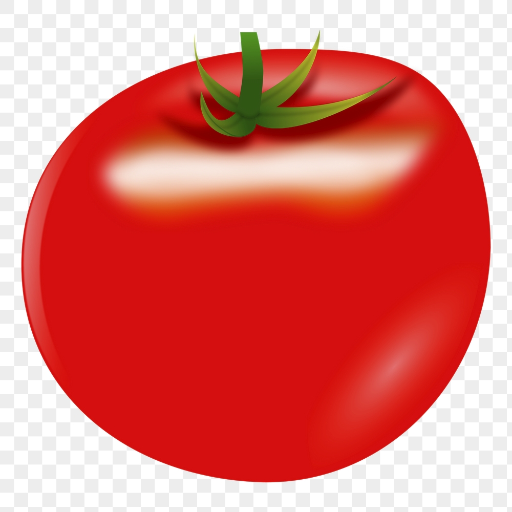 Tomato png sticker food illustration, | Free PNG - rawpixel