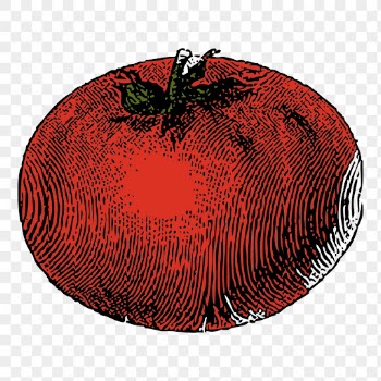 Tomato png sticker vegetable illustration, | Free PNG - rawpixel