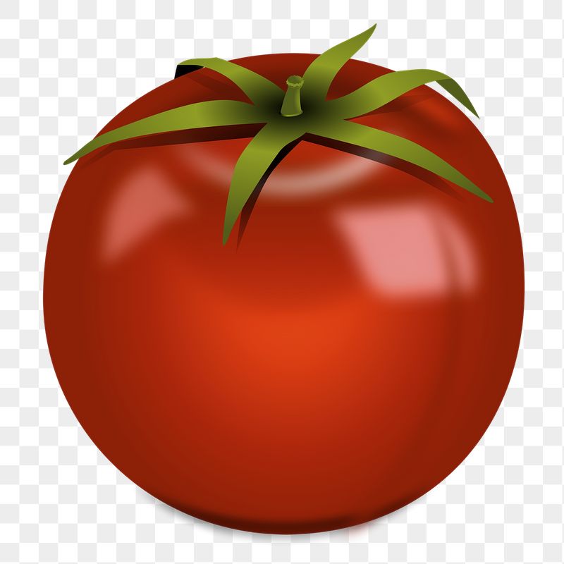 Tomato png sticker, vegetable illustration | Free PNG - rawpixel