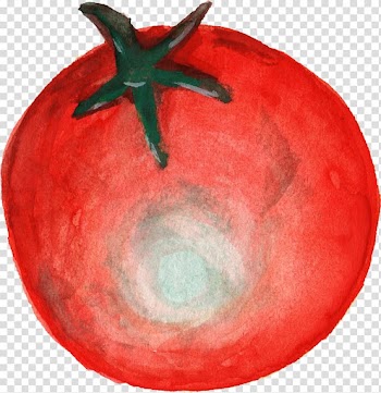 Tomato, tomato transparent background PNG clipart