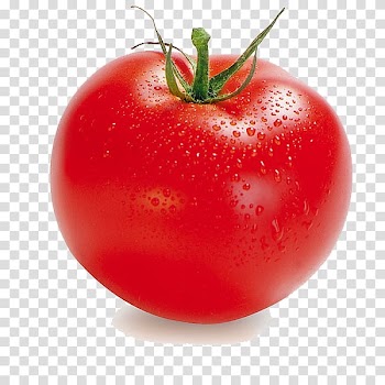 Tomato , Tomato transparent background PNG clipart