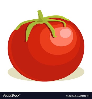 tomato vegetable