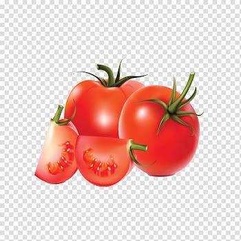 Tomato Vegetable Drawing, tomato transparent background PNG clipart