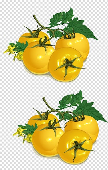 Tomato Vegetable Food, Persimmon yellow transparent background PNG clipart
