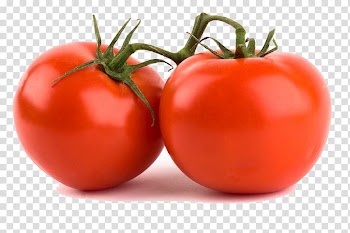 Tomato Vegetable Indian cuisine Food Fruit, tomato transparent background PNG clipart