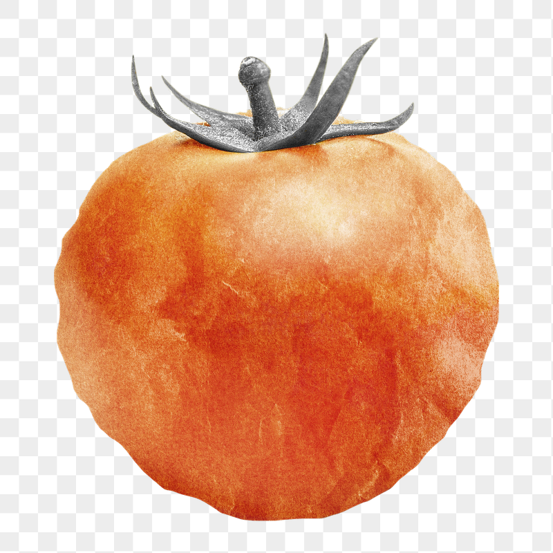 Tomato vegetable png sticker, paper | Free PNG - rawpixel