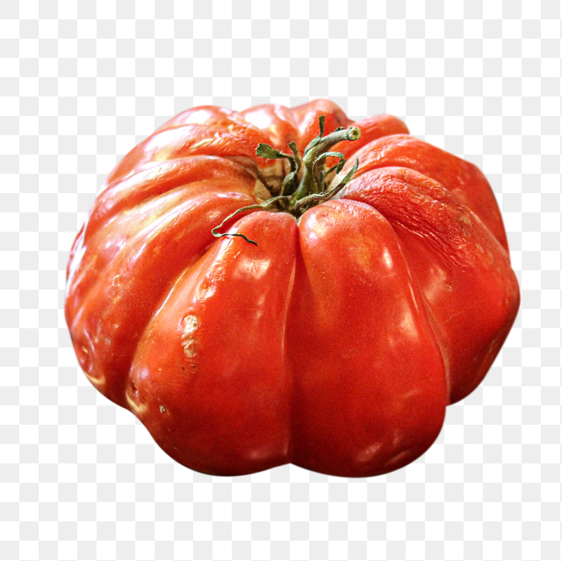 Tomato vegetable png sticker, transparent | Free PNG - rawpixel