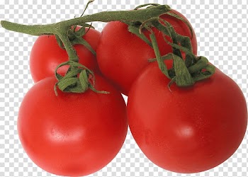 Tomato Vegetable , Tomato transparent background PNG clipart