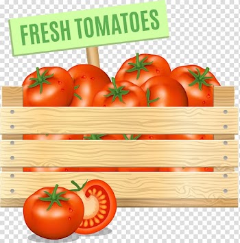 Tomato Vegetable Vegetarian cuisine Food, tomato transparent background PNG clipart
