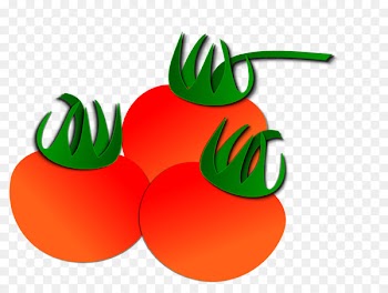 Tomato Vegetables Fruit Clip art - 3 tomatoes transparent background material 