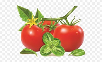 Tomato With Leaf Vector
