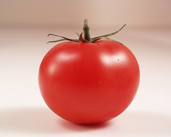 tomato0005.jpg