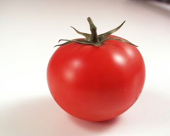 tomato0006.jpg