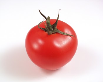 tomato0009.jpg