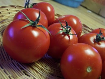 tomato2.JPG