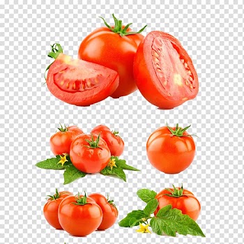 Tomatoes collage, Mexican cuisine Tomato Vegetable Food Fruit, Cut tomatoes transparent background PNG clipart
