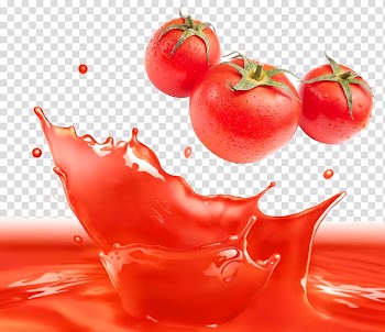 Tomatoes illustraiton, Tomato juice Tomato sauce Tomato purxe9e, Vegetable, Tomato transparent background PNG clipart