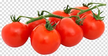 Tomatoes, Tomato Pizza Organic food Vegetarian cuisine Vegetable, Bunch of Fresh Tomatoes transparent background PNG clipart