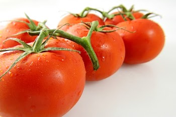 tomatoes_vine.jpg