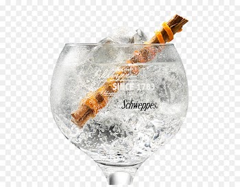 Tonic water Citadelle Gin and tonic Cocktail - cocktail 