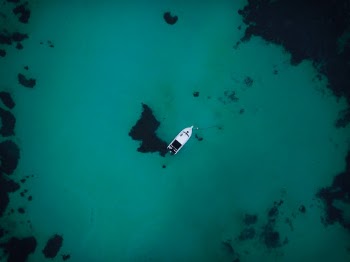 Took this in the bay of Dunsborough, WA. Saw this little buddy all by itself, and couldn't resist capturing this moment. :)