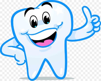 Tooth Fairy Human tooth Dentistry Smile - smile 