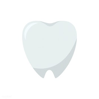 Tooth icon isolated vector graphic illustrati.. | Free stock vector - 429422