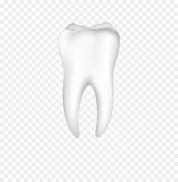Tooth Nose Jaw Mouth Ear - tooth 