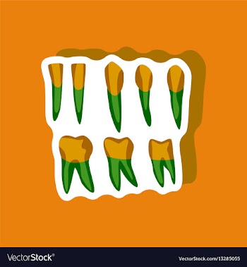 Tooth paper sticker on stylish background vector image