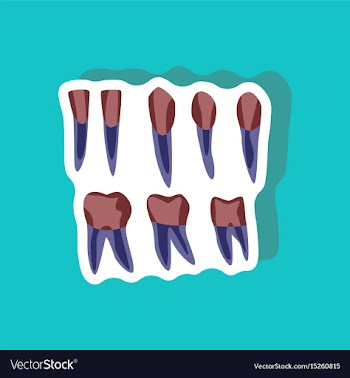 Tooth paper sticker on stylish background vector image