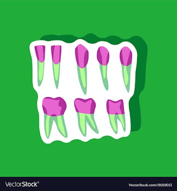 Tooth paper sticker on stylish background vector image