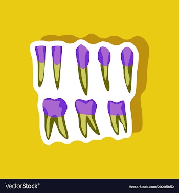 Tooth paper sticker on stylish background vector image