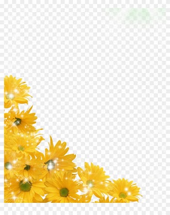 Top 25 Sunflower Png Transparent Images Free - Sunflower Border Transparent Background