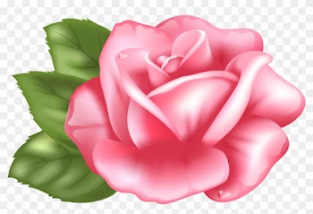 Top 78 Pink Rose Clipart - Pink Rose Clip Art