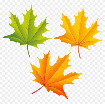 Top 80 Autumn Leaf Clip Art - Autumn Leaf Png Clipart
