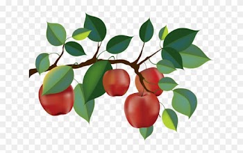 Top 88 Apple Tree Clip Art - Apple Tree Branch Clipart