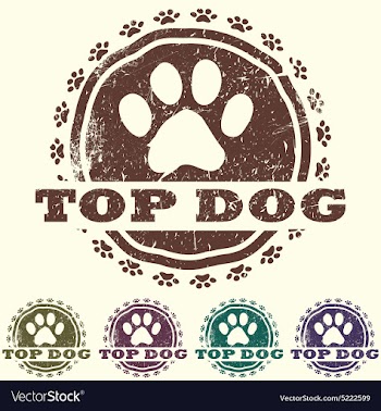Top dog vector image