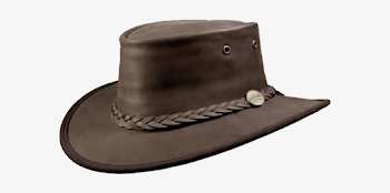 Top Hat Clipart Transparent Background Free Clipart - Barmah ...